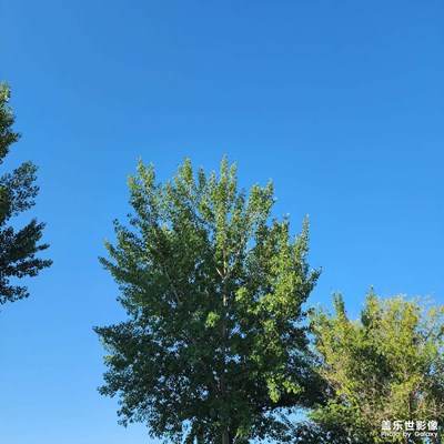 難忘的夏天 晴朗的天空