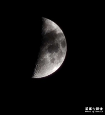 今夜月明人盡望