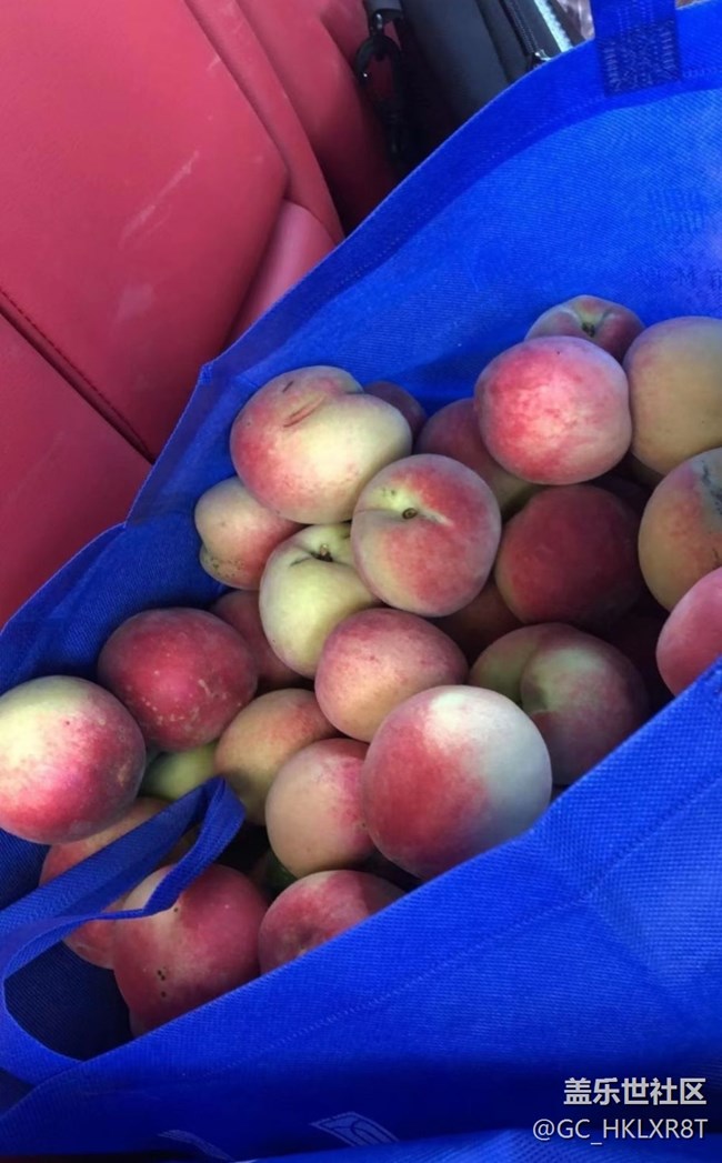 【夏日限定】摘桃子