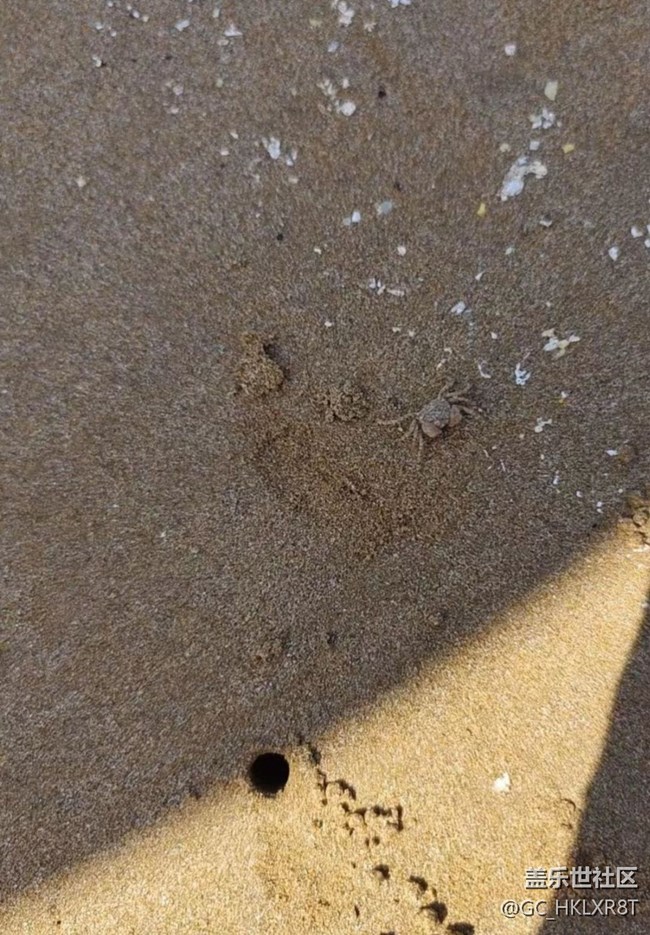 【時(shí)間影像】捉螃蟹