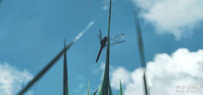 尋找靈感發(fā)現(xiàn)美