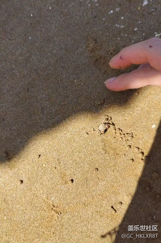 【時(shí)間影像】捉螃蟹