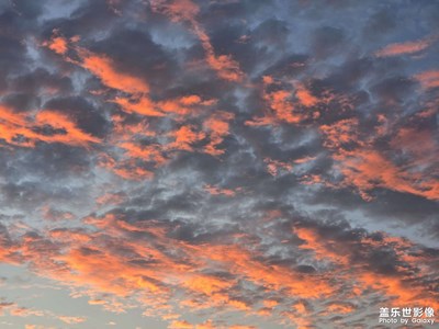 【難忘的夏天】+草原奇遇