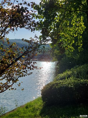 【難忘的夏天】+夏天的水邊