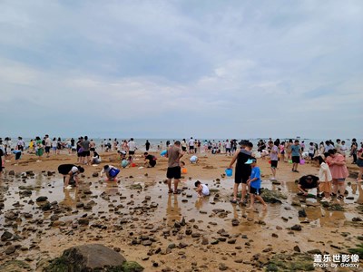 【難忘的夏天】趕海