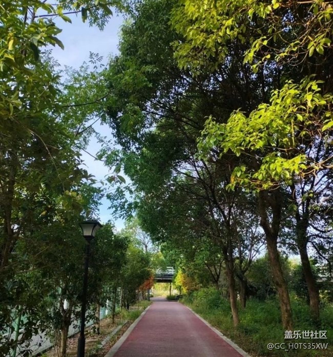 【時間影像】天氣不錯