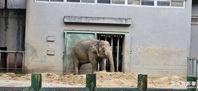 【難忘的夏天】+記錄生活