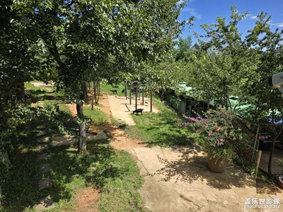 【難忘的夏天】周末游記