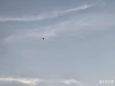 【難忘的夏天】+夏日隨心