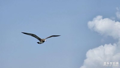 【難忘的夏天】+威海