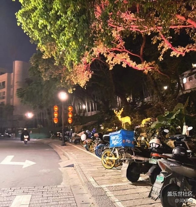 【夜生活】夜間美景