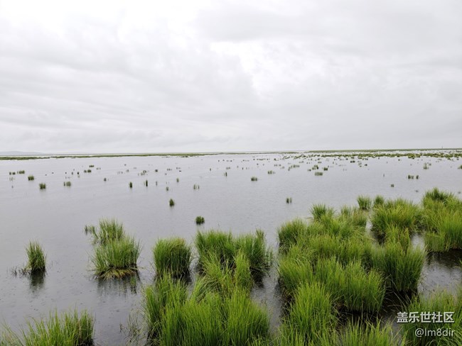 【時間影像】+若爾蓋花湖隨拍