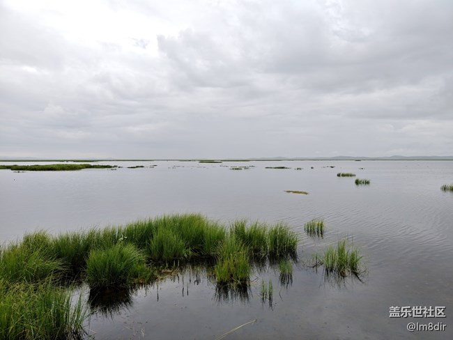 【時間影像】+若爾蓋花湖隨拍