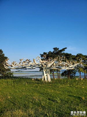 【時光印象】+美好時光