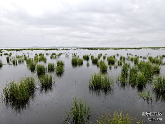 【時間影像】+若爾蓋花湖隨拍
