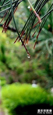 【時光印象】+清晨