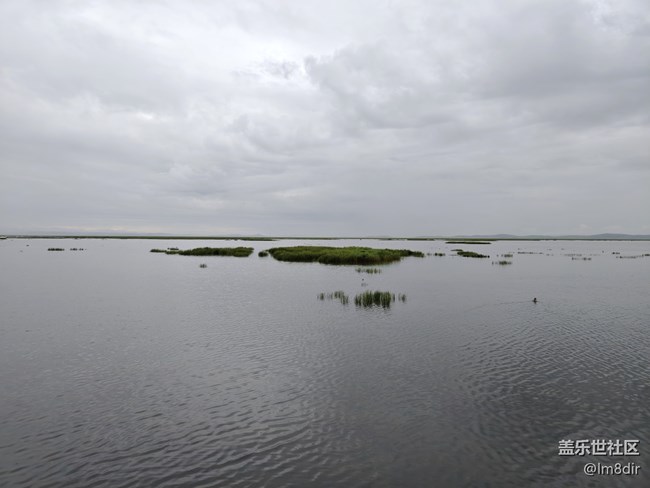 【時間影像】+若爾蓋花湖隨拍