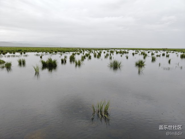 【時間影像】+若爾蓋花湖隨拍