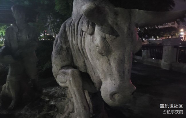 【夜生活】夜跑