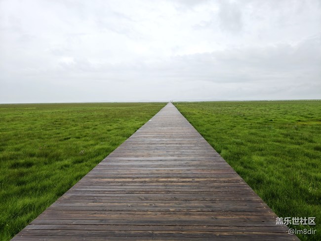 【時間影像】+若爾蓋花湖隨拍