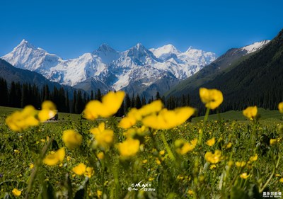 Galaxy S23 Ultra  雪山之下