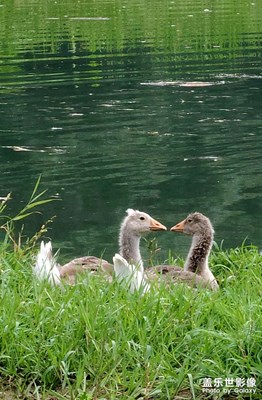 【時光印象】身邊的美好