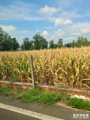 【時光印象】+從城里到鄉(xiāng)間