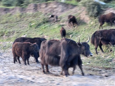時(shí)光印象

＋大美甘南