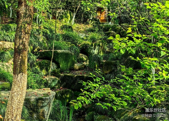 【尋秋】一路登山美景在腳下