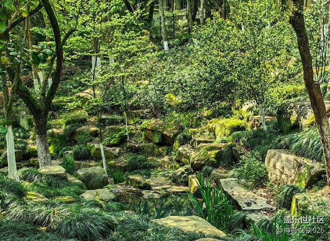 【尋秋】一路登山美景在腳下