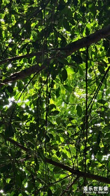 【時光印象】時光