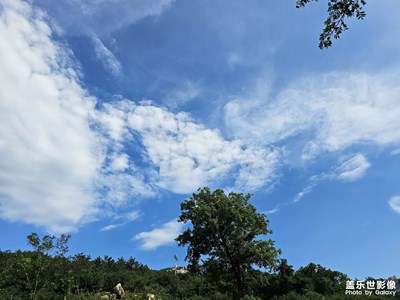 【時(shí)光印象】盛夏的記憶