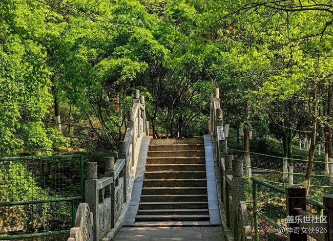 【尋秋】一路登山美景在腳下
