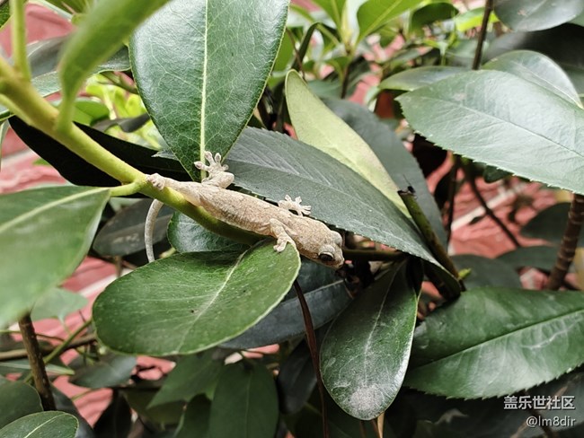 【入伏天】+ 盛夏城市的閑暇時(shí)光