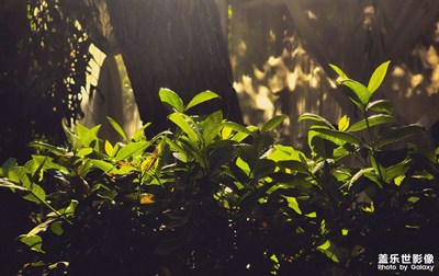 為什么非要讓我加標(biāo)題