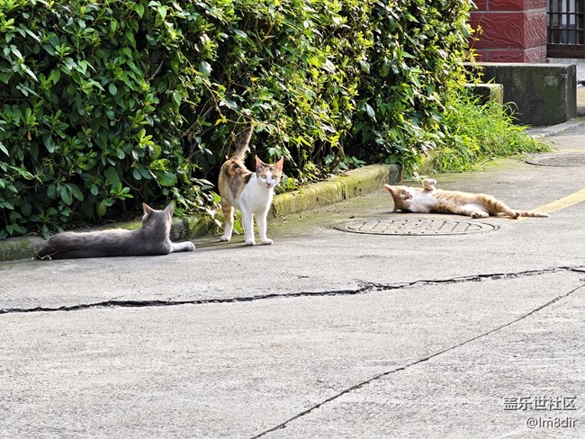 【入伏天】+ 盛夏城市的閑暇時(shí)光