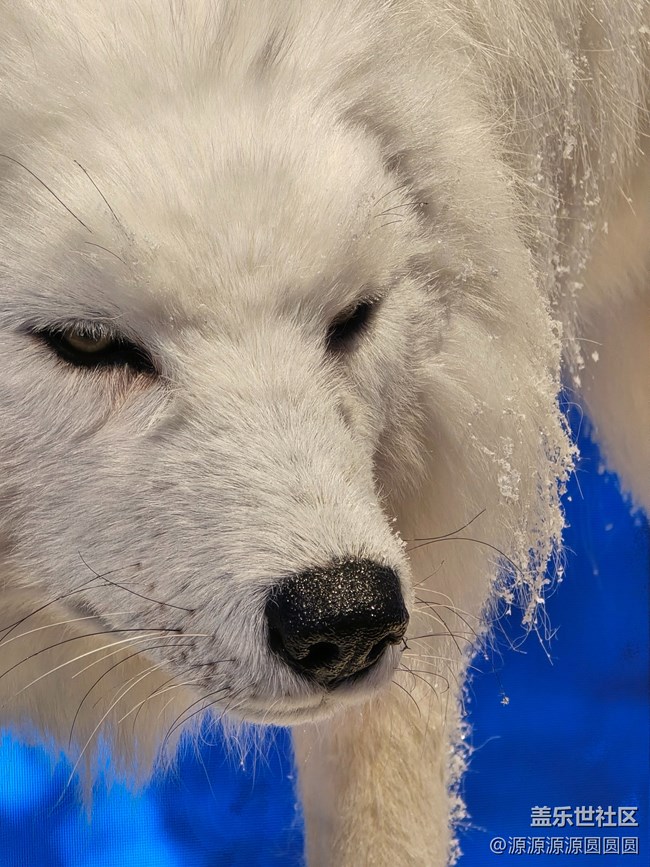 【未來視界，影動SKP】武漢星部落總結帖