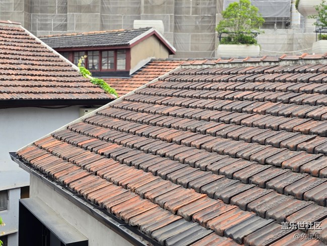 #八月記事簿——隨便逛逛