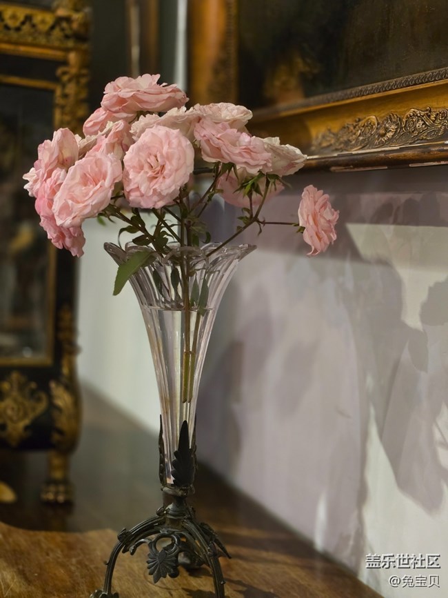 #八月記事簿——隨便逛逛