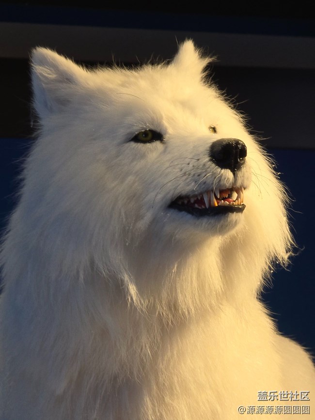 【未來視界，影動SKP】武漢星部落總結帖