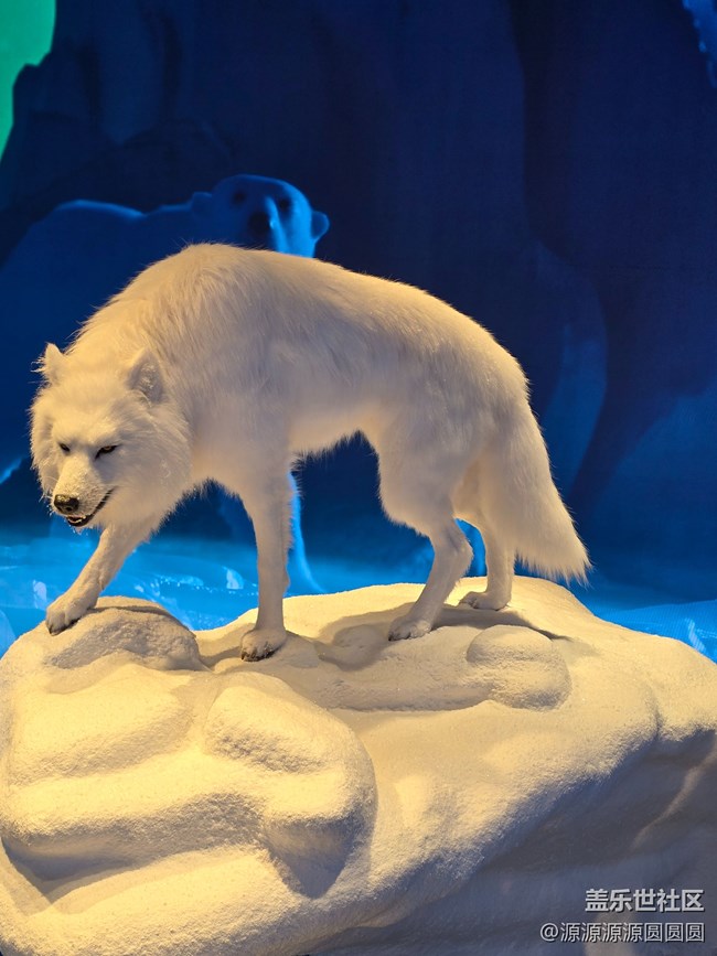 【未來視界，影動SKP】武漢星部落總結帖