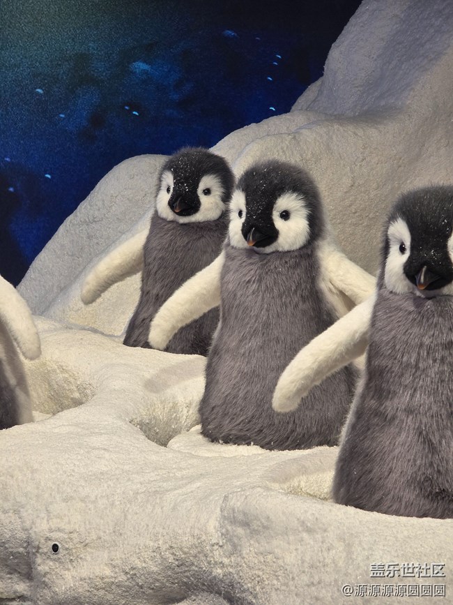 【未來視界，影動SKP】武漢星部落總結帖