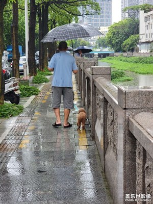 【時(shí)光印象】+生活隨手拍