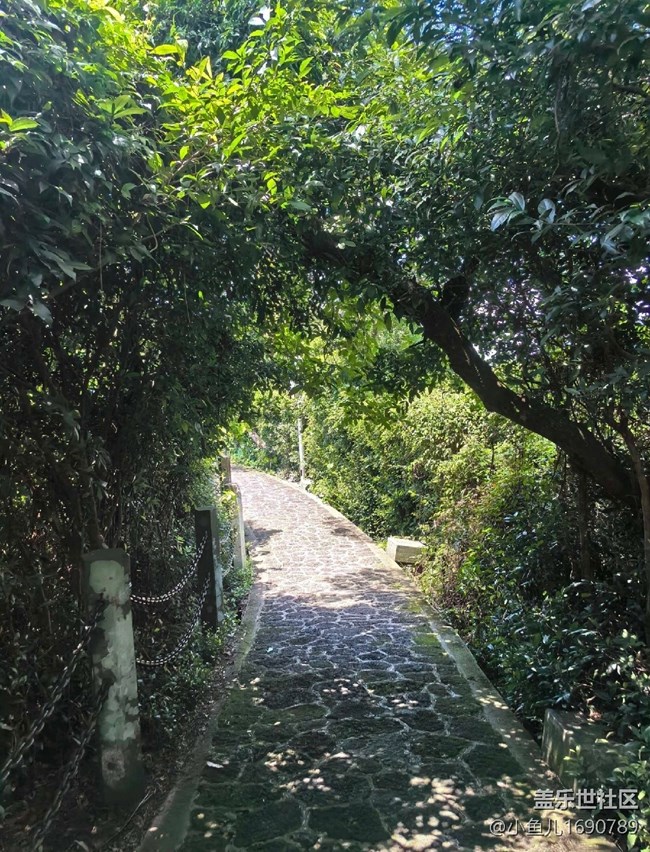 【尋秋】公園美景