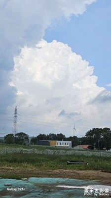 像一朵菊花，美麗的云朵