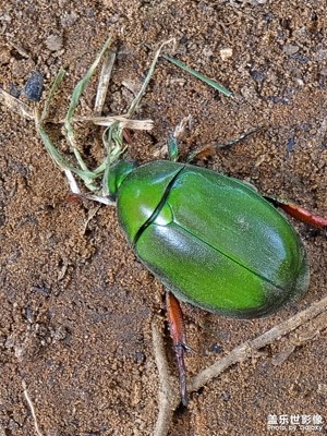 【時(shí)光印象】時(shí)光慢點(diǎn)走