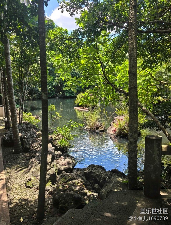 【尋秋】公園美景