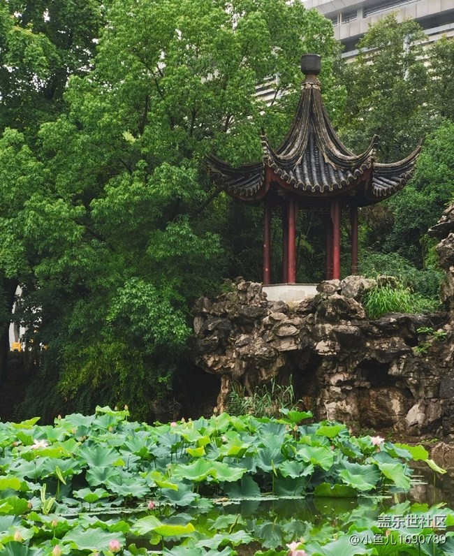 【尋秋】公園美景