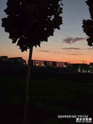 眨眼之間天就黑了