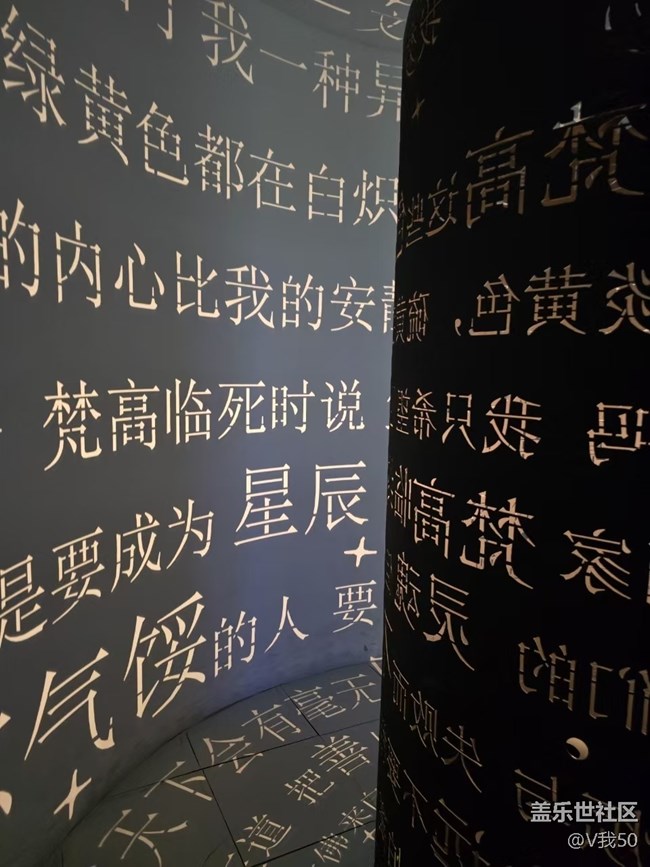 星部落社區(qū)組織的梵高星空展覽和晚宴